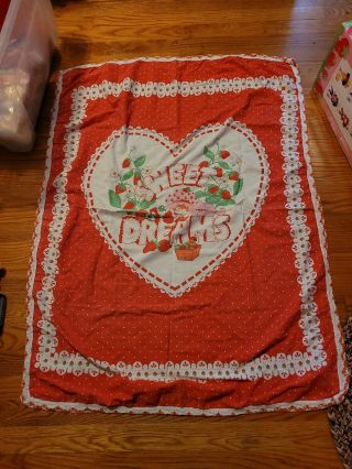 Vintage Strawberry Shortcake Fabric Crochet Sweet Dreams Blanket Wall Hanging