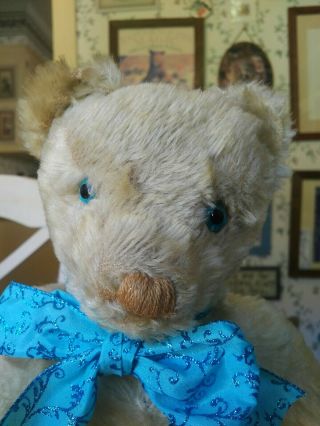 Antique Vintage Large 1960s Cream Mohair Twyford Teddy Bear England Uk 17in Guc,