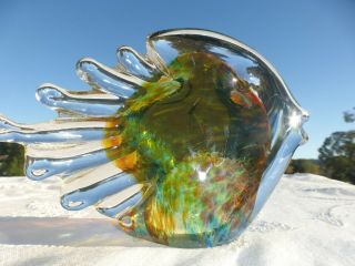 Hot Island Worcester Glass Maui 2005 Fish Sculpture Paperweight Hand Blown 2
