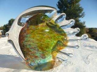 Hot Island Worcester Glass Maui 2005 Fish Sculpture Paperweight Hand Blown 3