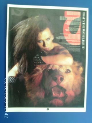 Pete Burns - Dead Or Alive That,  S The Way I Like It - Poster Ad 1980s