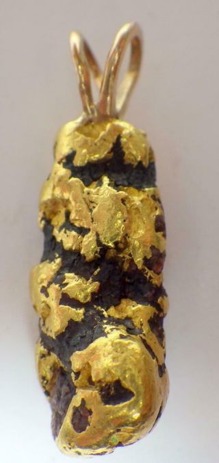 22k Gold Natural Alaska Nugget Pendent 8.  958 Grams Custom 1 - 1/8 " Double Bail