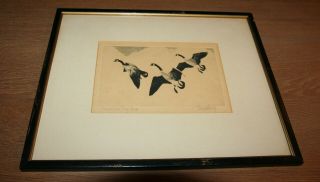 1936 - RW3 Federal Duck Stamp Print - Richard Bishop - Artist Signed Print 2