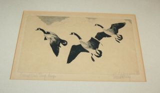 1936 - RW3 Federal Duck Stamp Print - Richard Bishop - Artist Signed Print 3