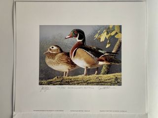 3 - Robert Steiner,  Governor Editions 1995,  1996,  1997 Oregon Duck Stamp Prints