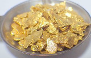 Gold Nuggets 15.  557 Grams Natural Placer Alaskan 8 Mammoth Creek Special