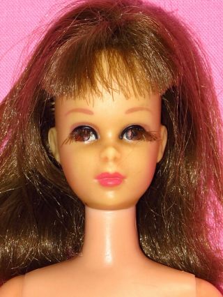 Vintage Mattel - 1966 Brunette Francie Doll Made In Japan - Barbie