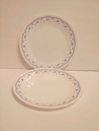 Set Of 2 Corelle Corning Morning Blue Dinner Plates In White Flowers