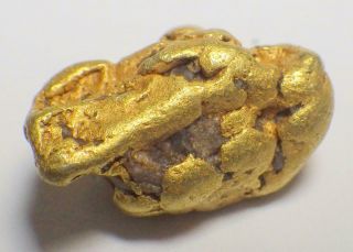 Gold Nugget Natural Alaska Placer 9.  345 Grams Ak Hunter Creek Hi Purity