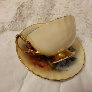 AYNSLEY CABBAGE ROSE TEACUP/SAUCER J.  A.  BAILEY on PALE YELLOW BACKGROUND 4