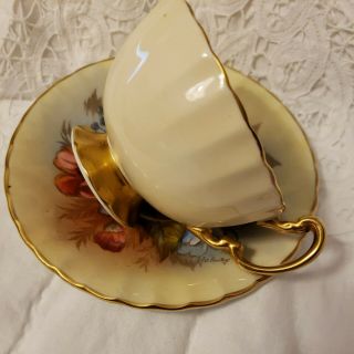 AYNSLEY CABBAGE ROSE TEACUP/SAUCER J.  A.  BAILEY on PALE YELLOW BACKGROUND 5
