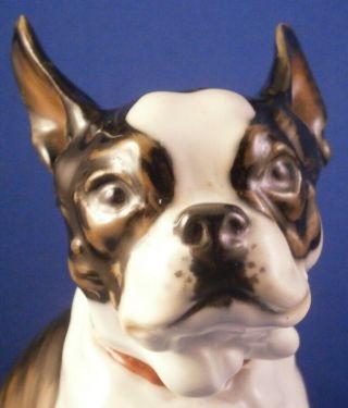 Art Nouveau Meissen Porcelain Bulldog Terrier Figurine Porzellan Hund Figur Dog 2