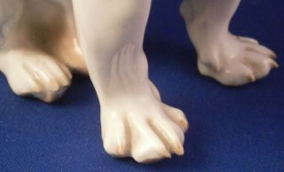 Art Nouveau Meissen Porcelain Bulldog Terrier Figurine Porzellan Hund Figur Dog 3
