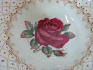 Paragon Teacup & Saucer Green w Large Red Rose Gorgeous Double Stamp 3