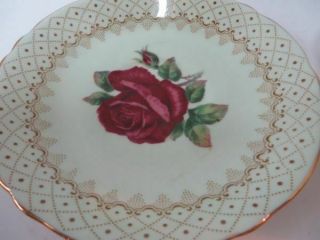 Paragon Teacup & Saucer Green w Large Red Rose Gorgeous Double Stamp 6