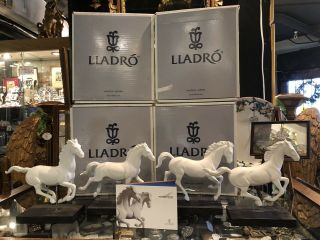 Set Of Four Lladro White Porcelain Horse Figurines Gallop I Ii Iii Iv Spain