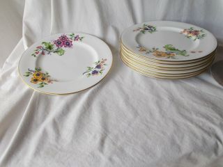 8 Tiffany & Co.  8 " Plates Flowers Le Tallec Hand Painted Private Stock France