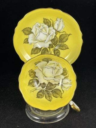 Scarce Paragon Yellow Floating Rose Cup & Saucer