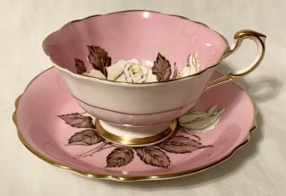 Paragon Pink White Cabbage Rose Tea Cup And Saucer A277