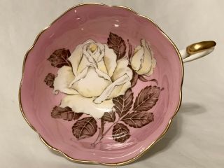 PARAGON PINK WHITE CABBAGE ROSE TEA CUP AND SAUCER A277 3