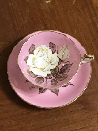 Paragon English Bone China White Rose On Pink Tea Cup & Saucer