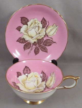 Paragon English Bone China Yellow White Cabbage Rose On Pink Tea Cup & Saucer Nr