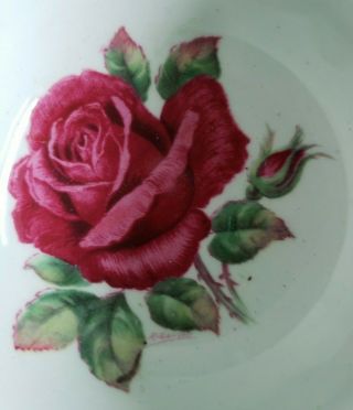 Paragon Floating Red Rose Signed R Johnson Green Gold Gilt Tea Cup & Saucer 5