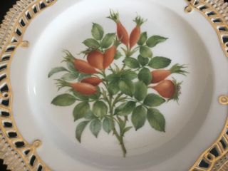 Vintage Royal Copenhagen Flora Danica Reticulated Border 9” Plate with Fruit 2