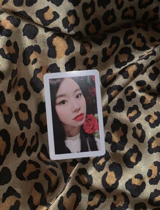 Twice Chaeyoung Official Photocard 6th Mini Album Yes Or Yes Photo Card Only
