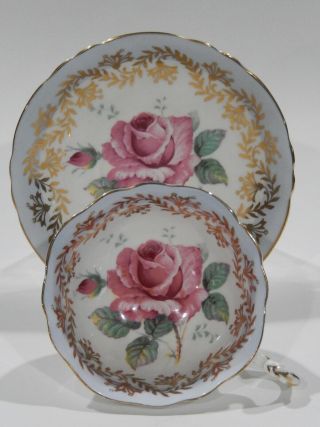 Paragon Large Pink Floating Rose Cup & Saucer Baby Blue And Gold Filigree