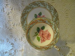 Paragon Cabbage Rose Tea Cup And Saucer Lovely Pink On White,  Blue Background