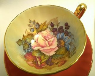 Aynsley Rust Cabbage Rose Cup And Saucer Signed Bailey Lovely