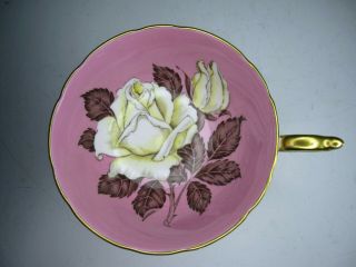 Paragon Teacup Pink Background White Cabbage Rose Double Warrant Bone China