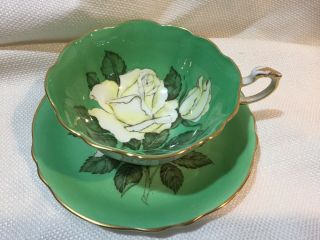 Stunning Paragon Bone China White Cabbage Rose On Green Tea Cup & Saucer