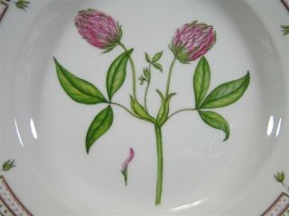 Royal Copenhagen FLORA DANICA Trifolium Alpestre Miill 10” DINNER PLATE 2