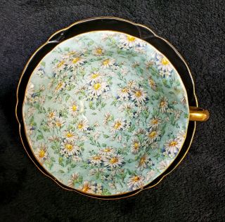 Shelley Bone China England Chintz Oleander Tea Cup And Saucer Black.