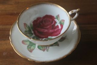 Paragon Large Red Cabbage Rose Johnson Teacup Tea Cup Saucer Double Warrant