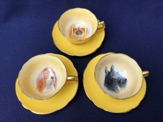 & Fine Paragon Cup & Saucer Set 3 Dogs Terrier Pekingese Basset