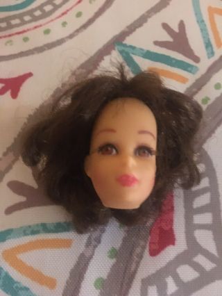 Vintage (stamped 1965) Barbie Francie Head Only.  (brunette/brown Eyes/eyelashes)