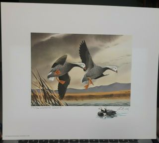 1972 Arthur Cook Federal Duck Stamp Artist Remarque Print 57cr Second Edition