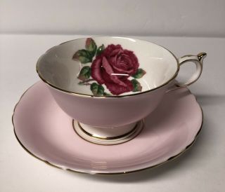Paragon Fine Bone China Double Warrant Cabbage Rose Cup & Saucer W/ Gold Trim