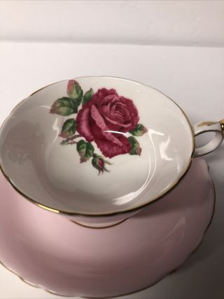 Paragon Fine Bone China Double Warrant Cabbage Rose Cup & Saucer w/ Gold Trim 2