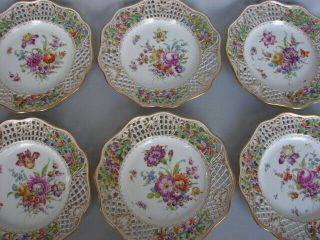 6 Dresden Lamm Hand Painted Flowers Reticulated 8 - 1/2 " Plates On Meissen Blanks
