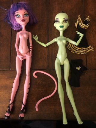 Monster High Cam Create A Monster Cat And Witch Doll Girls Set