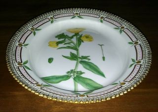 Vintage FLORA DANICA Royal Copenhagen Porcelain Botanical OVAL Plate w Gilt 2