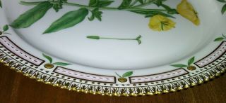 Vintage FLORA DANICA Royal Copenhagen Porcelain Botanical OVAL Plate w Gilt 6