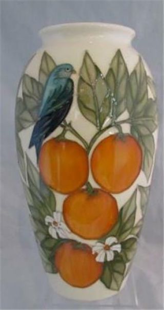 Vtg Moorcroft Oranges & Bird Vase 10 " Tall 1st Quality Pre Date Code Oange