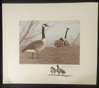 Wyoming 1 1985 State Duck Stamp Print Canada Goose By Robert Kusserow Color Rem