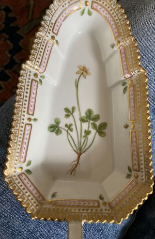 Vintage FLORA DANICA Royal Copenhagen Porcelain Botanical Small Dish w GILT 5