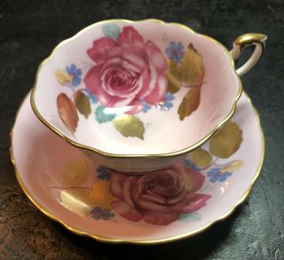 Paragon Double Warrant Floating Cabbage Rose Pink Teacup Cup Saucer Wide Mouth